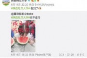 娱乐吃瓜酱考大学,娱乐吃瓜酱带你领略大学生活的多彩画卷